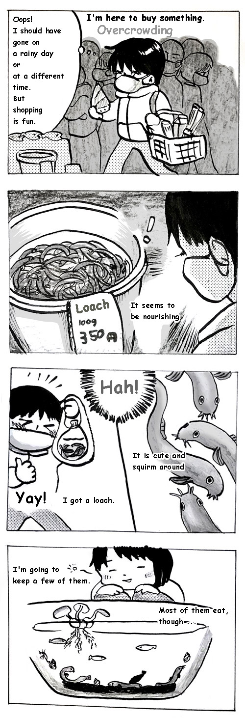 I'm here to buy something. ( Overcrowding.) I found a loach. (It seems to be nourishing) I got a loach. Yay! Ha! It is cute and squirm around. I'm going to keep a few of them. Most of them eat, though ...