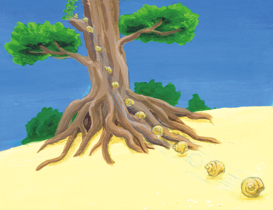 Curly will go for a walk after breakfast. Rumble, rumble, rumble.