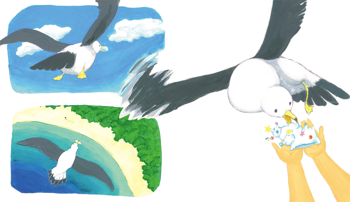 A seagull that takes off with a decorated shell. A seagull handed the shell to the girl's hand.