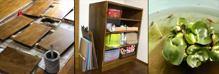 棚づくりとメダカの睡蓮鉢