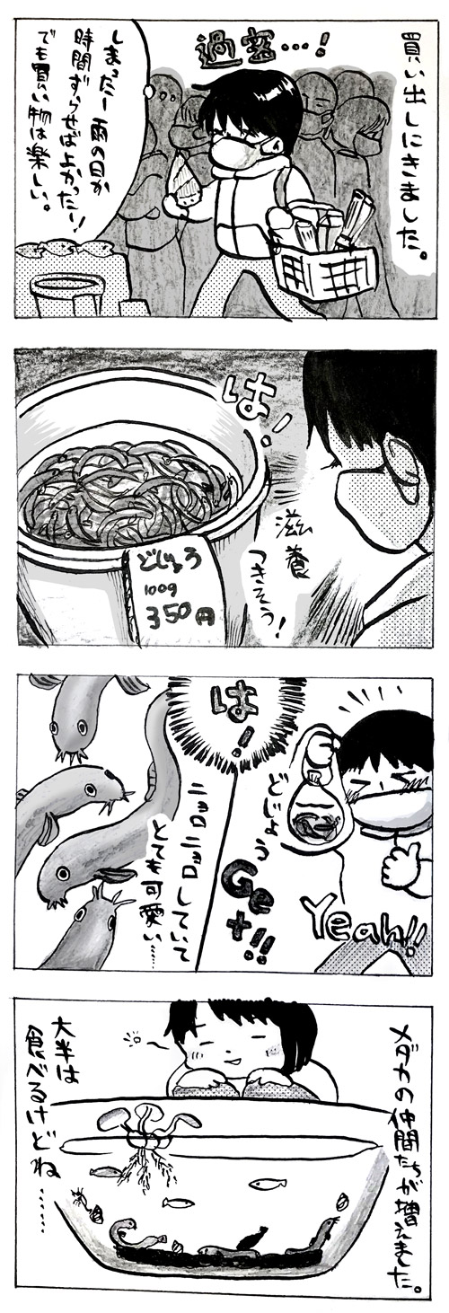 買い出しに来ました。（過密。しまったー！雨の日か時間ずらせばよかった。でも買い物は楽しい。）はっ！どじょうを発見。（滋養がつきそう）どじょうゲット。やったー！はっ！ニョロニョロしていて可愛い。数匹飼うことになりました。大半は食べるけれどね……。